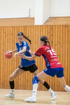 Bild 265 - wBJ TSV Ellerau - HSG Schue/We/Re : Ergebnis: 23:15